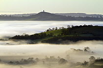 Early morning mist covers the low lying Vale of Avalon with Glastonbury Tor in distance. Somerset, UK, January 2012