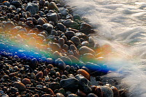 Waves of the Baltic sea washing over pebbles creating a  rainbow from the spray, Nienhagen, Germany, April