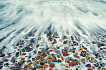 Waves of Baltic Sea washing over and polishing coloured pebbles, Markgrafenheide, Mecklenburg-Vorpommern, Germany, January