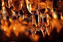 Light reflected through icicles, Tollensesee, Germany, January