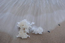 Piece of ice on washed up on shore of Baltic sea, Germany, February 2010