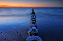Wooden posts in the Baltic Sea at dusk, Zingst, Germany, National Park Vorpommersche Boddenlandschaft, Germany