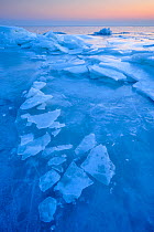 Ice sheets on the coast of the Baltic sea in Klein Zicker, Rugen, Germany, Baltic Sea, February 2011