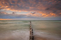 Line of wooden posts running into the Baltic Sea at dusk,  National ParkVorpommersche Boddenlandschaft, Germany, May