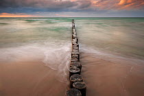 Line of Wooden posts running into the Baltic Sea at dusk, National ParkVorpommersche Boddenlandschaft, Germany, May