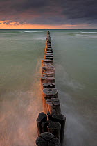 Line of Wooden posts running into the Baltic Sea, at dusk, National ParkVorpommersche Boddenlandschaft, Germany, May