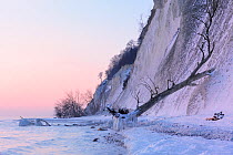 Ice along shore of the Baltic Sea under white chalk cliffs at dawn, Jasmund National Park, Rugen, Germany, February