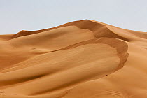 Sand dunes, Arabian Desert, Dubai, United Arab Emirates