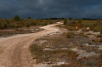Enlarged road, for fire protection in the Mediterranean region, Garrigue de Lacaunette, Minervois, France