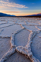 Death Valley National Park, Mojave Desert, California. Salt formations in valley floor. March 2012.