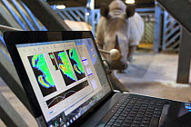 Data is collected from sensors on a mat the rhinos walk over and collated on special computer software by John Hutchinson, professor of evolutionary biomechanics at the Royal Veterinary College is stu...