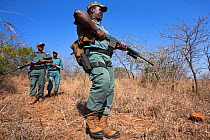 Anti-poaching unit on patrol in the bush, led by Sibongiseni Kunene, Ezemvelo KZN Wildlife, iMfolozi game reserve, KwaZulu-Natal, South Africa, June 2012. Editorial use only