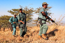 Anti-poaching unit on patrol in the bush, l-r Sibongiseni Kunene, Mshiyeni Ntuli, Sibusiso Mdluli, Ezemvelo KZN Wildlife, iMfolozi game reserve, KwaZulu-Natal, South Africa, June 2012. Editorial use o...