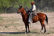 A 'Gaucho', cowboy of Gran Chaco, Santa Olga, Chaco Province, Argentina. October