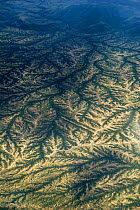 Dendritic drainage of the land at the end of the rainy season, a view from the air. Northern Kenya, Africa, November.