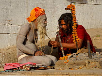 Shadus, holy men, sitting on the famous ghats of the Ganges river, Vanarasi / Benares, India