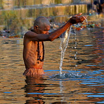 Man washing in the holy Ganges river, along the famous ghats of Vanarasi / Benares, India 2012