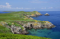 View North East of Great Saltee Island Nature Reserve, Wexford, Republic of Ireland, June