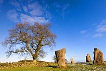 Nine Stone Close stone circle, Peak District National Park, Derbyshire, UK. March.