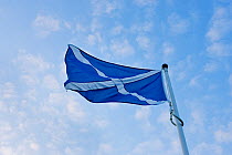 Scottish flag flying in wind, Grantown on Spey, Scotland, UK