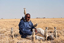Wild meerkats (Suricata suricatta) habituated to humans standing alert on local guide, Makgadikgadi Pans, Kalahari desert, Botswana.