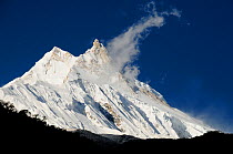 Manaslu Himal (8.163m) from Samagaon village (3.530m). Manaslu Conservation Area, Himalayas, Nepal, October 2009.