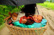 Baby in a basket under umbrella on mother's back in the Budhi Gandaki river valley. Manaslu Conservation Area, Himalayas, Nepal, October 2009.