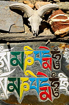Buddhist prayers on stone, Annapurna Conservation Area, Himalayas, Nepal, October 2009.