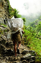 Porter carrying basket in the Budhi Gandaki river valley. Manaslu Conservation Area, Himalayas, Nepal, October 2009.