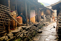 Small village in the valley of the Budhi Gandaki. Manaslu Conservation Area, Himalayas, Nepal, October 2009.