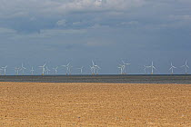 Offshore wind turbines, Norfolk, UK, June 2012