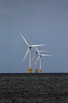 Wind turbines offshore, Norfolk coast, UK, June 2012