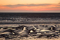 Mudflats at sunset, The Wash Estuary, Norfolk, England, UK, September 2011. 2020VISION Book Plate.