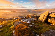 View from Littaford Tor in early morning, Two Bridges, Dartmoor National Park, Devon, England, UK, October. 2020VISION Book Plate. Did you know? There are over 1200 scheduled ancient monuments on Dart...