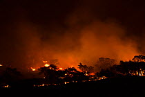 Bush fire at night near Mooi River, KwaZulu-Natal, South Africa, October 2006