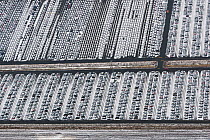 Aerial view of Emden Port in winter, new cars for shipping overseas, East Frisia, Lower Saxony, Germany, February 2012