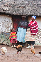 Two Zulu women and a girl with chicken in front of a Zulu hut, Hidden Valley, KwaZulu-Natal, South Africa, October 2006