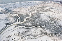 Aerial view of tidal creeks in snow-covered salt marshes on Memmert Island, in winter with snow, Ranzelwatt National Park near Borkum, Wadden Sea of Lower Saxony, East Frisia, Lower Saxony, Germany Fe...