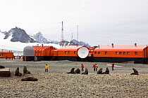 Orcadas Base, Argentine scientific reserarch station, with researchers looking at Fur seals, Laurie Island, South Orkney Islands, Southern Ocean, Antarctica. February 2007.