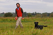 RSPB warden Harry Paget-Wilkes and Black labrador (Canis familiaris) approaching young Eurasian / Common cranes released by the Great Crane Project during a predator aversion training exercise, Somers...