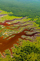 Aerial view over subtropical mangrove wetlands of the Everglades National Park. Florida, USA, February 2012.