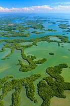 Aerial view over subtropical mangrove wetlands of the Everglades National Park. Florida, USA, February 2012.