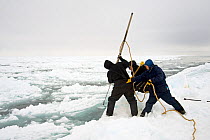 Inupiaq subsistence whalers break open a hole in the pack ice using a harpoon along the edge of an open lead, during spring whaling season, Chukchi Sea, offshore from Barrow, Arctic coast of Alaska