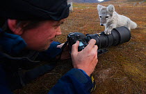 Photographer Ole Jorgen Liodden, with curious young Artic fox (Vulpes lagopus) investigating his camera, Svalbard, Norway