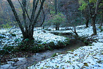 Upstream section on the River Hino in winter, Japan, November 2009