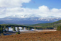 Lochnagar in spring, with snow on the tops. Deeside, Scotland, April 2012.