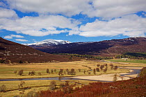 Mar Lodge Estate looking across the River Dee valley to the entrance of Glen Quoich. Deeside, Scotland, April 2012.
