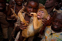 Mozambican children with captive Yellow Baboon youngster (Papio cynocephalus). Young animal caught during troop crop raiding. Pemba to Montepuez highway, north-eastern Mozambique, November 2011. Wildl...