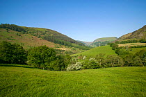 Meadow and woodland in upland valley in Spring, managed as Gilfach Nature Reserve, Radnorshire Wildlife Trust, Powys, Wales, UK May 2012