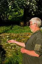 Pip Amos, nature reserve Warden with Blue Tit (Parus caerulus) coming to his hand to feed on meal worms, Gilfach Nature Reserve, Radnorshire Wildlife Trust, Powys, Wales, UK May 2012